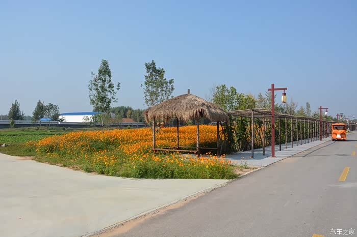 敢发就敢送#潍水田园1