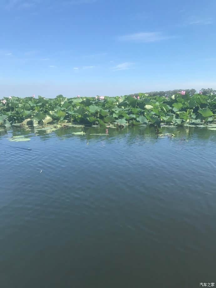 新民小西湖仙子湖公园