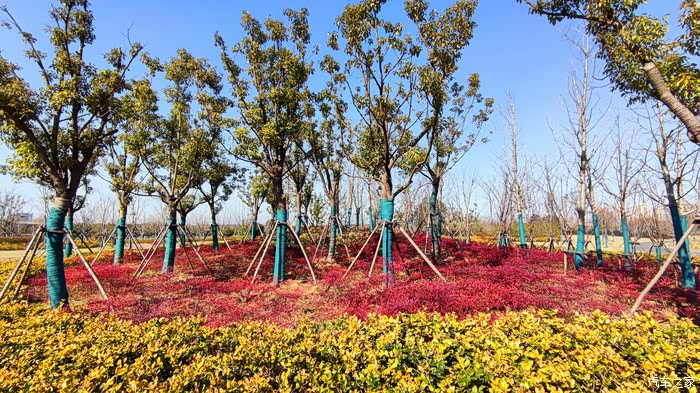 【积分大放送】春意盎然的放马滩公园