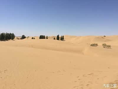奇骏2.5【龙头拐】沙漠穿沙