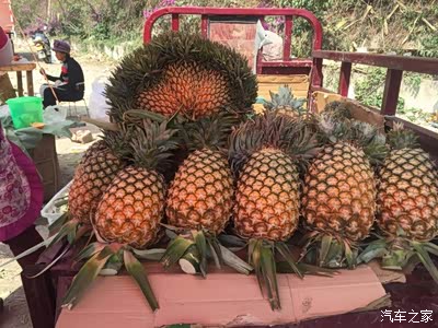 菠萝菠萝还有扇形这菠萝确实够水分充足还用盐水浸泡也非常甜