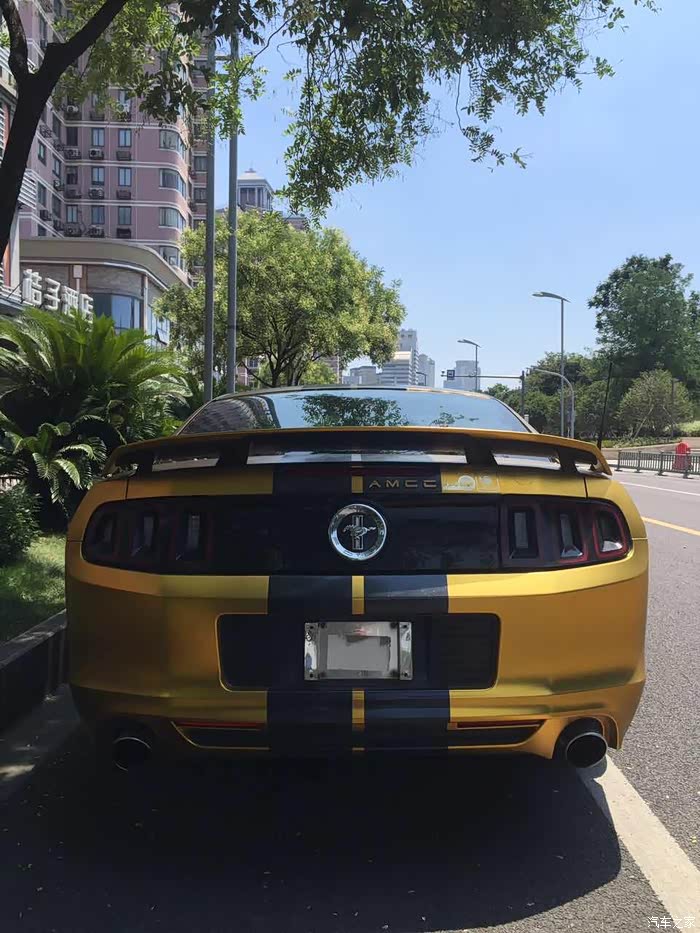 肌肉感十足的五代野马