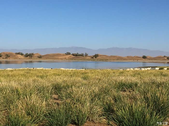 母夜叉提车作业