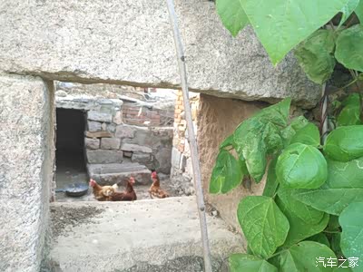 男人也是一朵花,也害怕风吹雨打