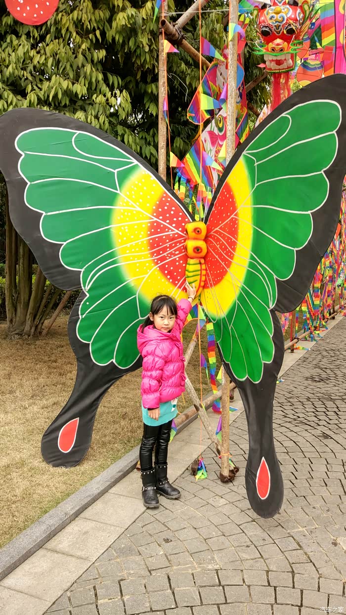 全成都向上看记2017第七届保利国际风筝节