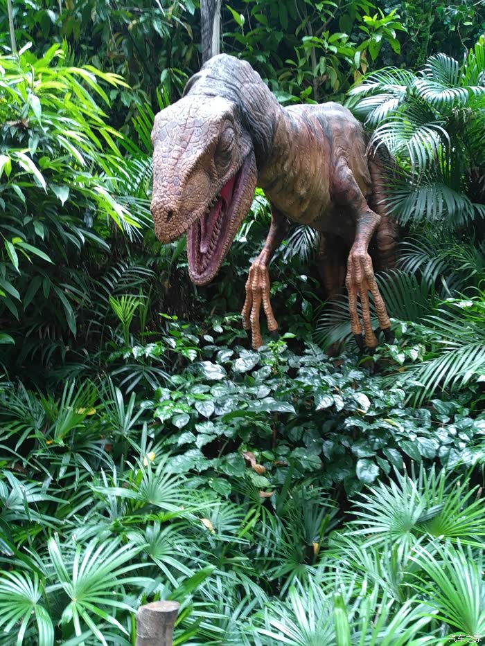 广东梅州雷凌车友会广州自驾游记长隆野生动物园