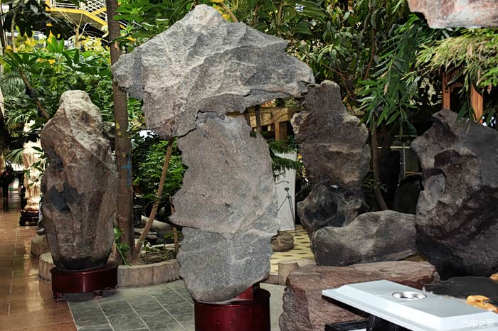 富康梦天堂感受冬天里的春天