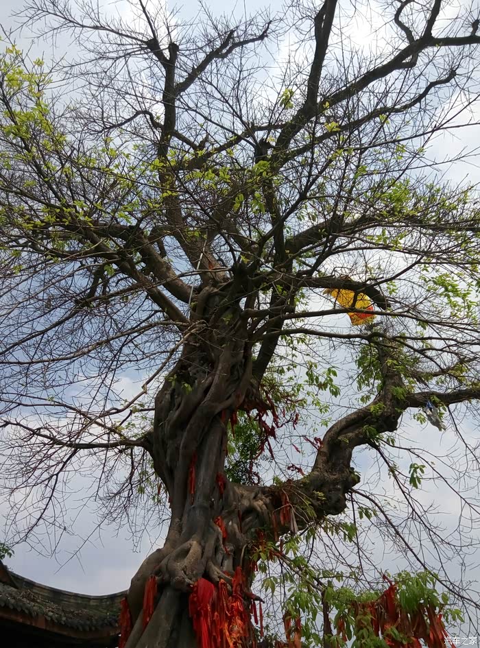 黄龙溪一日自驾游
