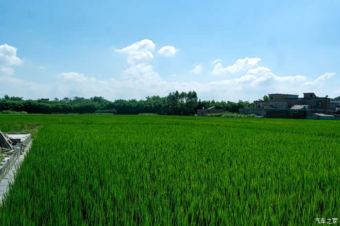 广西乡村游第一站金田