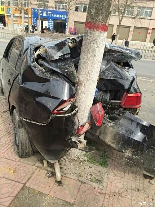 纸糊的车,太脆皮了.不敢直视.