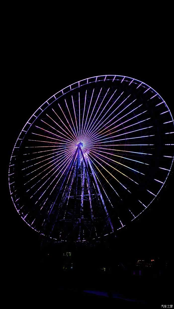与大狗打卡城市街景星地标摩天轮包头眼身披彩光点亮夜晚