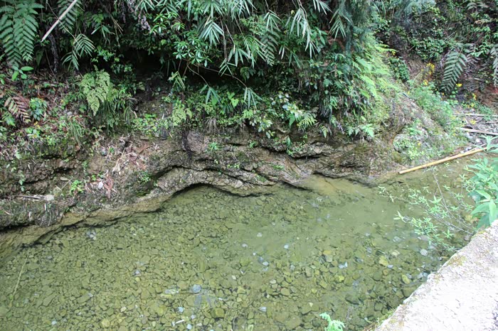 清澈见底的小溪.