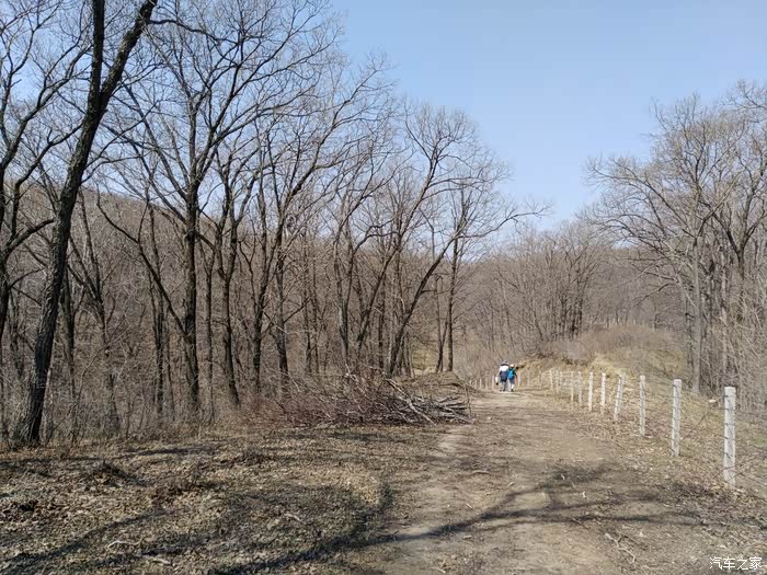 周末自驾九台土门岭马鞍山徙步登山挖野菜累并快乐着