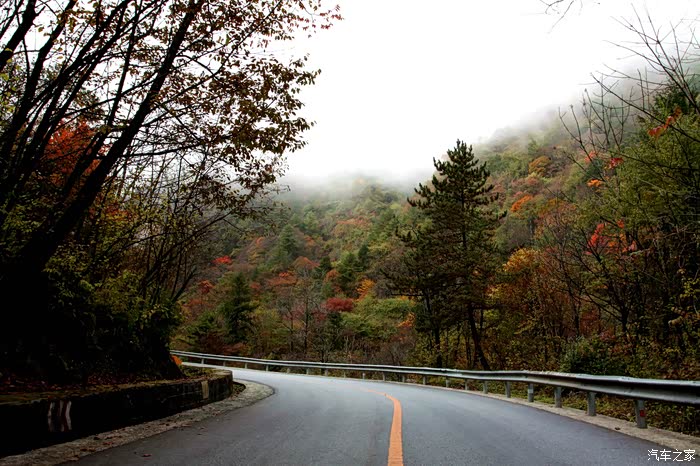 秋水柔情大涧沟霜叶似火黄柏塬