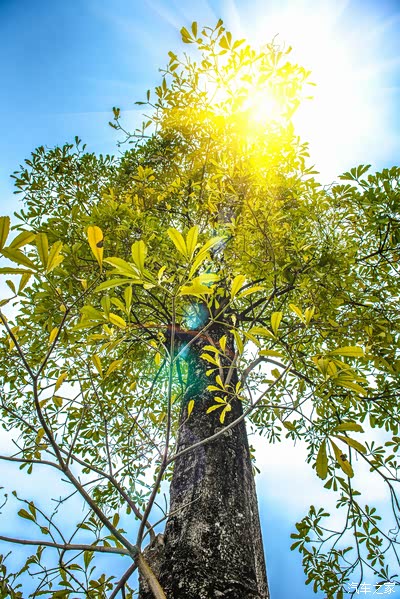 阳光静好 难得好天气,约上妹纸来一发,大神轻拍