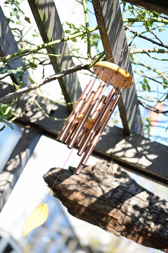 阳光灿烂,有风,很冷,门廊上挂的铜管风铃轻摇着