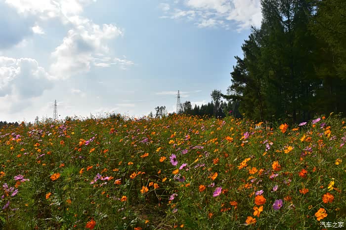 抚顺世外桃源三个来小时游记