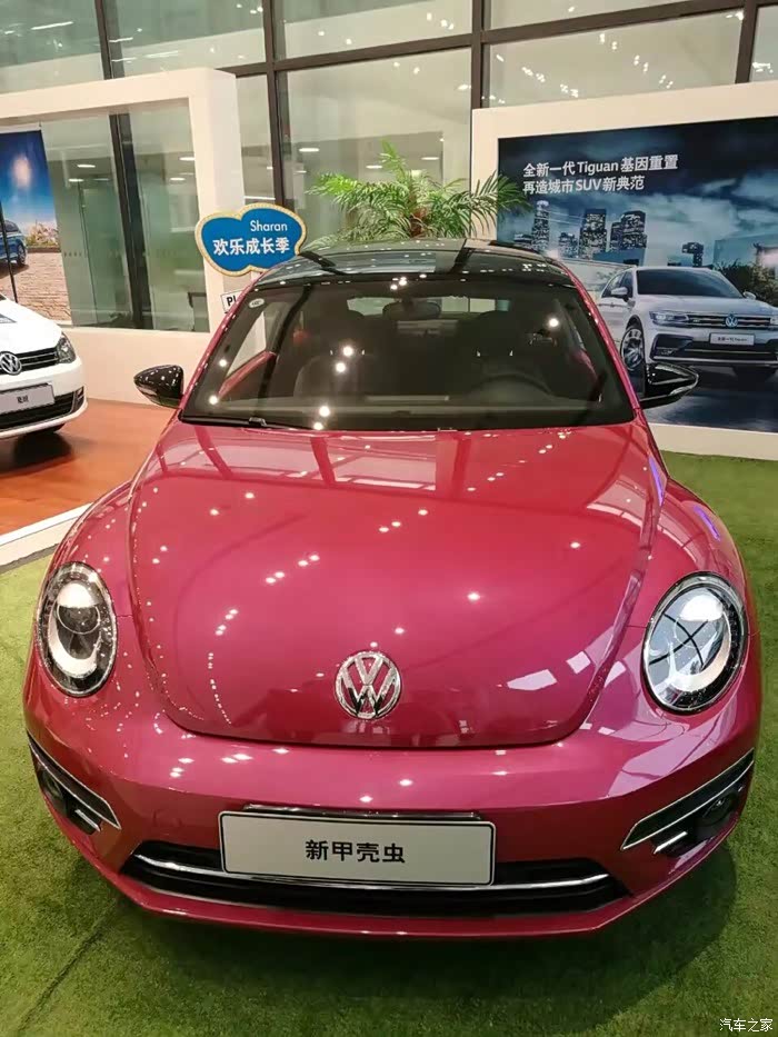 【图】粉红色虫子在中国真的上市了吗?_甲壳虫论坛_汽车之家论坛