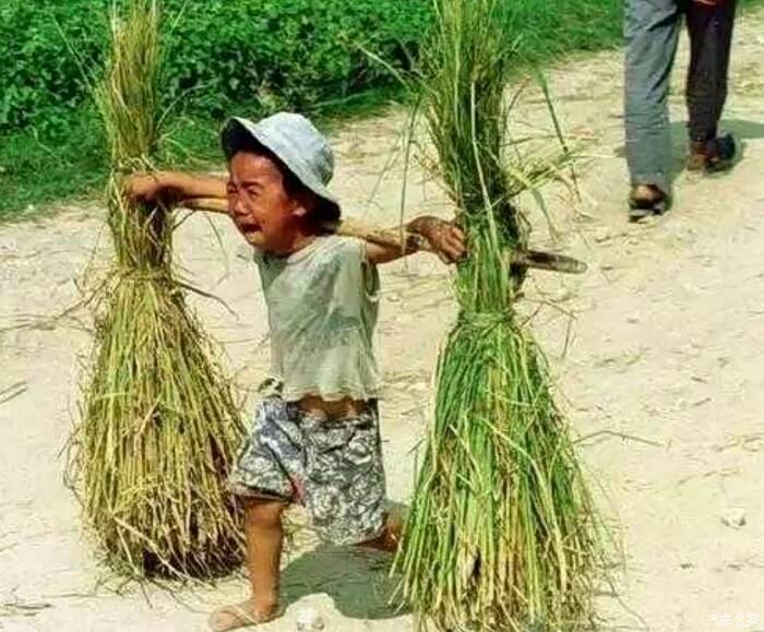 人·车·生活【回忆童年时期的冰爽夏日】