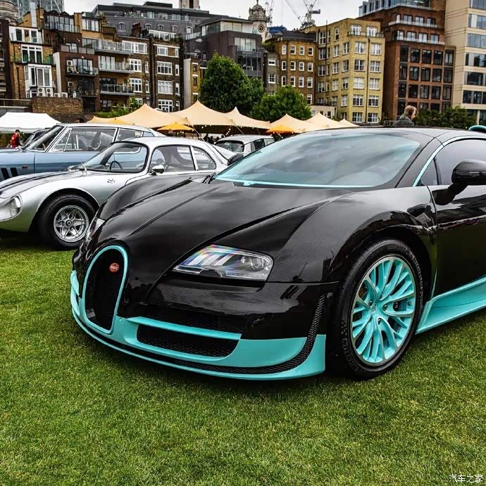 让人惊艳的大"肥龙,特别喜欢.