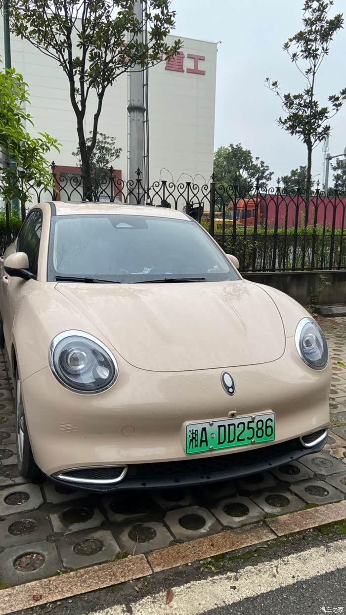 【图】奶米猫上牌记_欧拉好猫论坛_汽车之家论坛