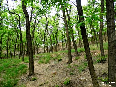 牛山森林公園並探