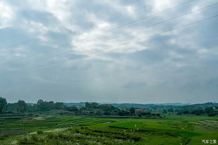 广西乡村游第一站金田