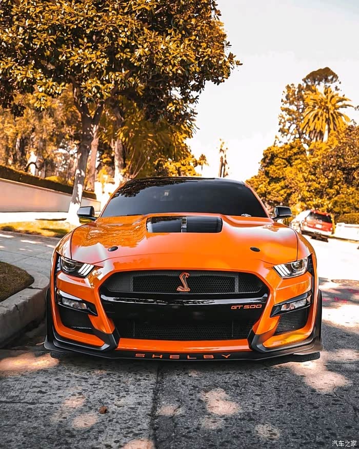 福特野马外观大气彪悍动力表现强劲是男人都有征服它的欲望