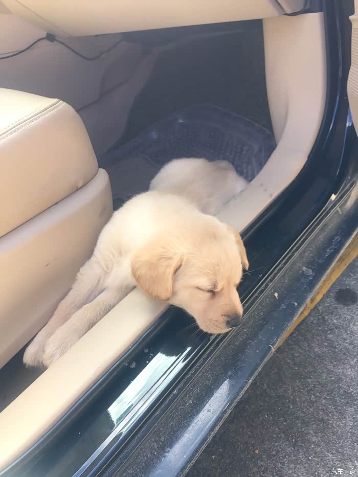 广州卡罗拉第五次聚会-芙蓉嶂