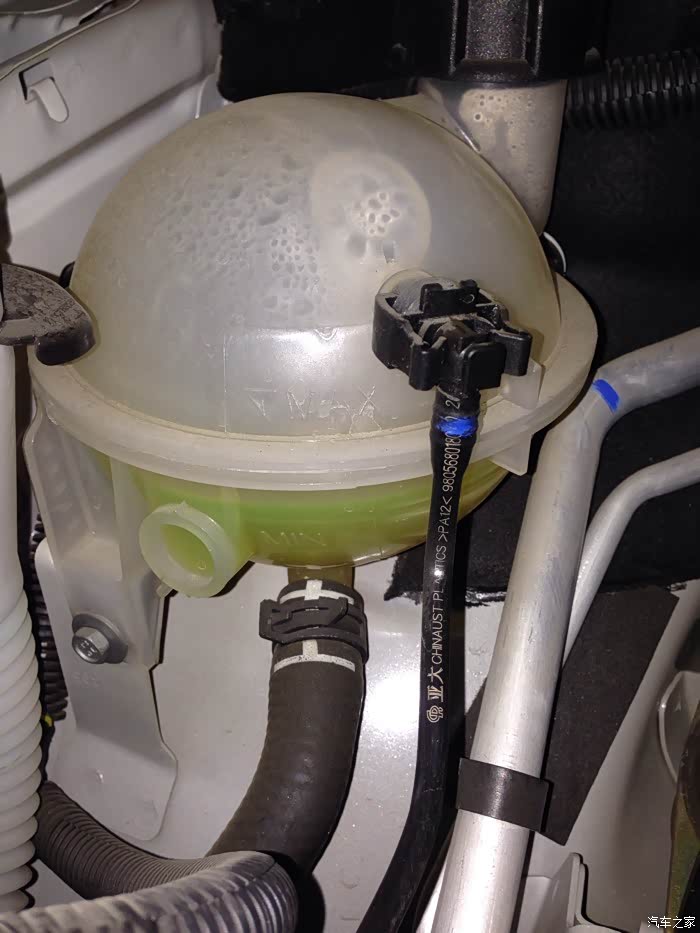 【图】防冻液这样正常吗_标致308论坛_汽车之家论坛