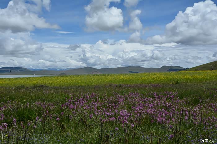 行者无畏一路在脚下心在飞扬2016携萨瓦纳青藏行游记