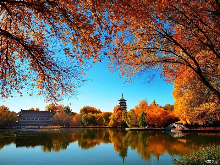 胡杨河市西公园秋意浓浓,构成一幅幅多彩美丽的秋景图.