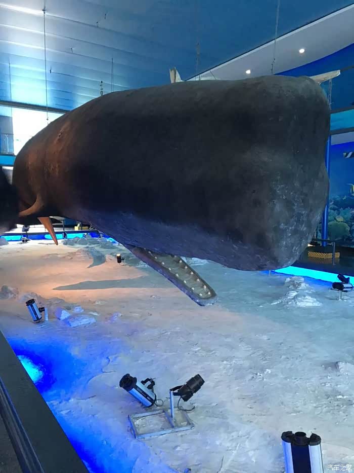 刘公岛——鲸馆