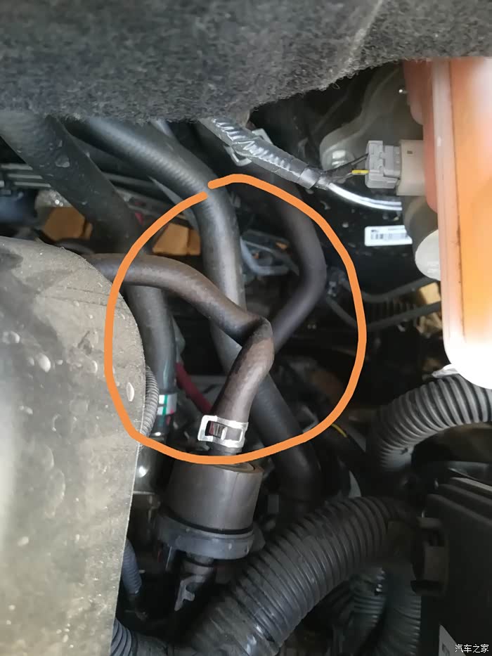 发动机舱的管路问题大家来看看