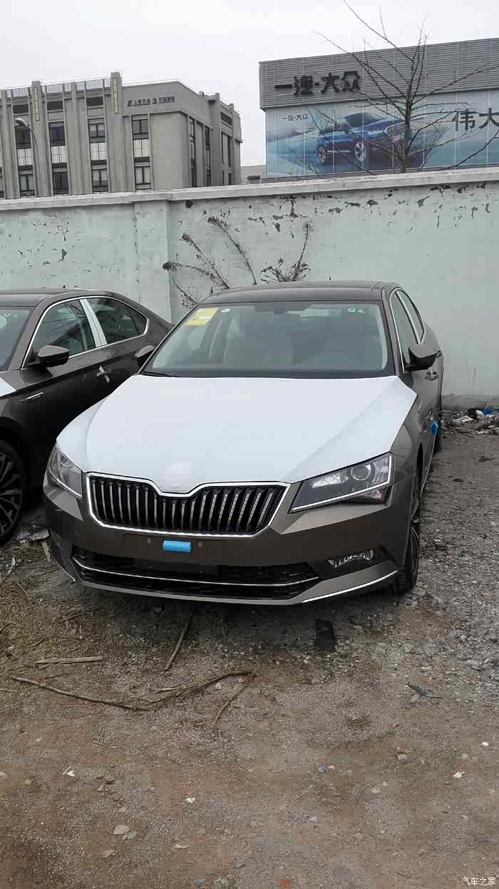 新速派的穹顶金或琥珀棕车身好看吗?谁有照片?