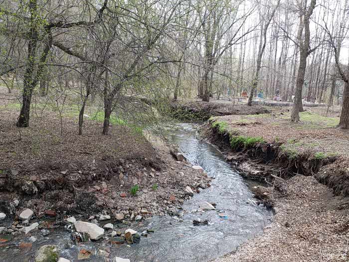 初春自驾游翠柳公园
