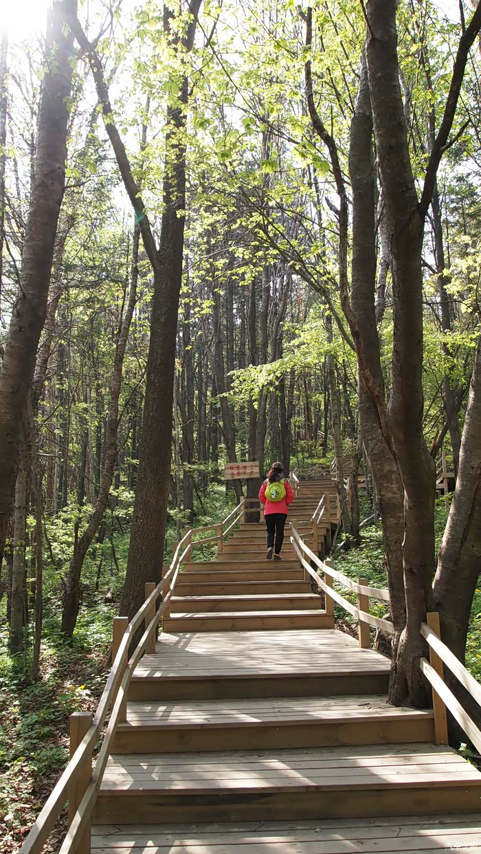 大部分上山的路都是这样的木栈道.