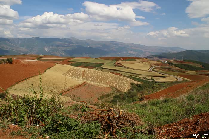 东川红土地 自驾游 (5日)_重庆论坛_汽车之家论坛