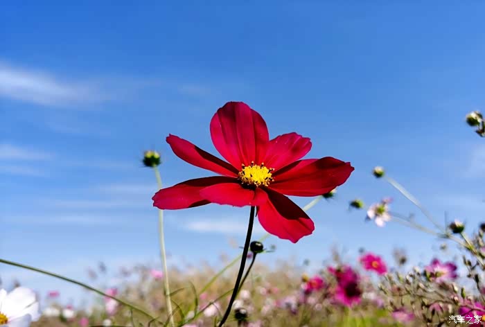 我想借一点干净的阳光让我怦然心动.