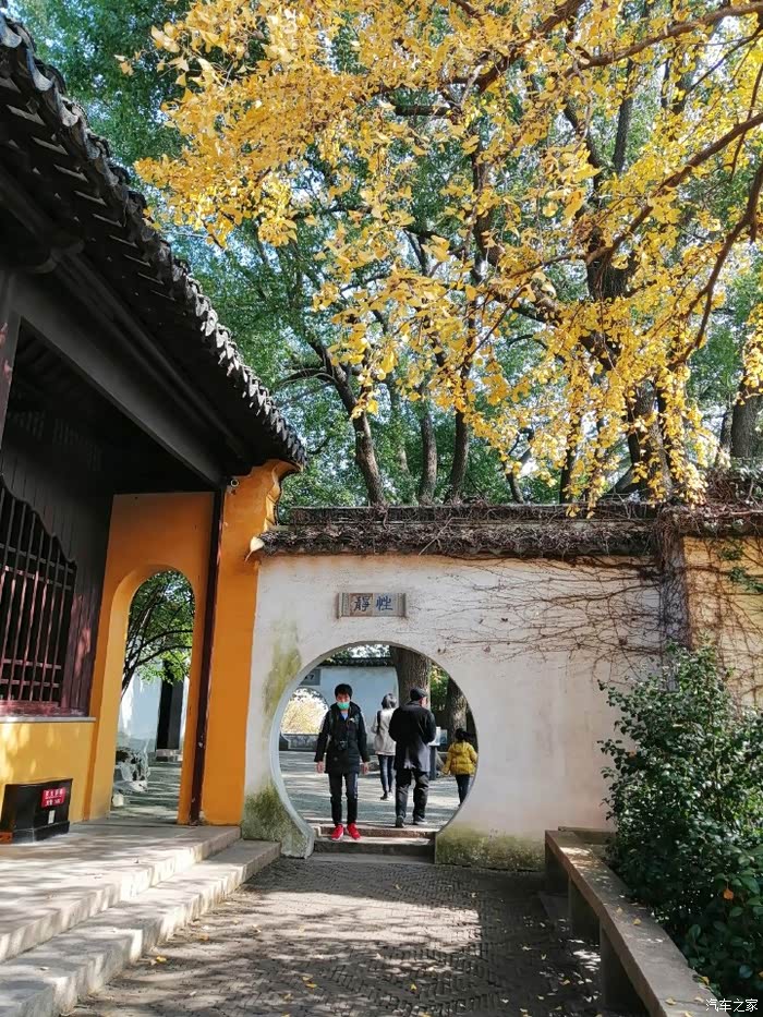 虎丘云岩禅寺的秋天特别美丽游人如织