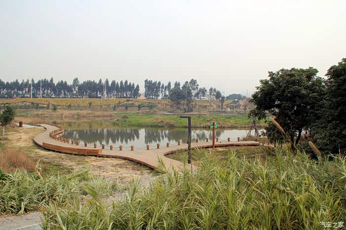 你好2021西溪湿地亲水公园