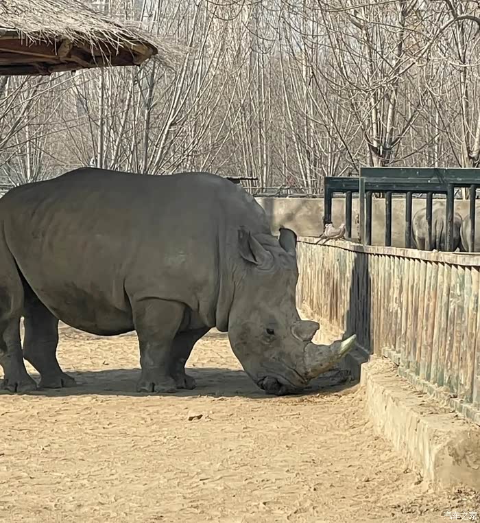 天津动物园一日游