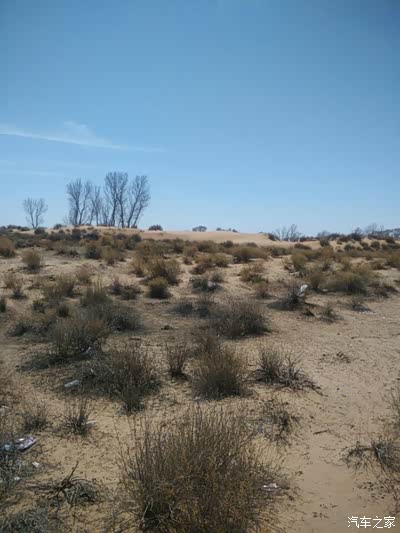 刚开始时家里人劝我毕竟分隔两能照顾依偎对方心里失落总有罢 但异恋