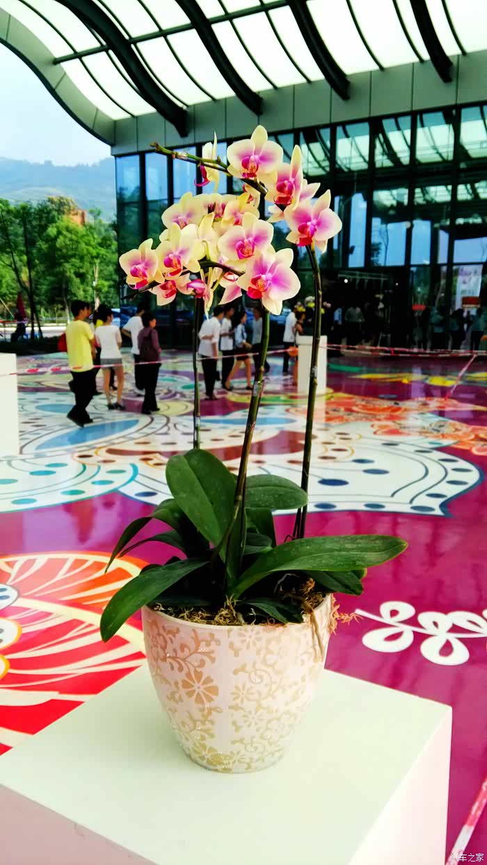 兰花科技园一日游