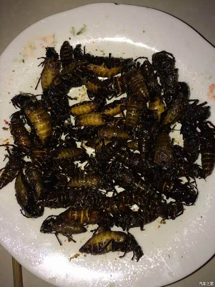 终于找到组织了我的美食山水牛