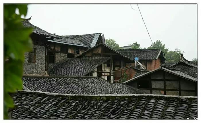 蒙蒙细雨洒落在青青的瓦片,别有一番意味儿.