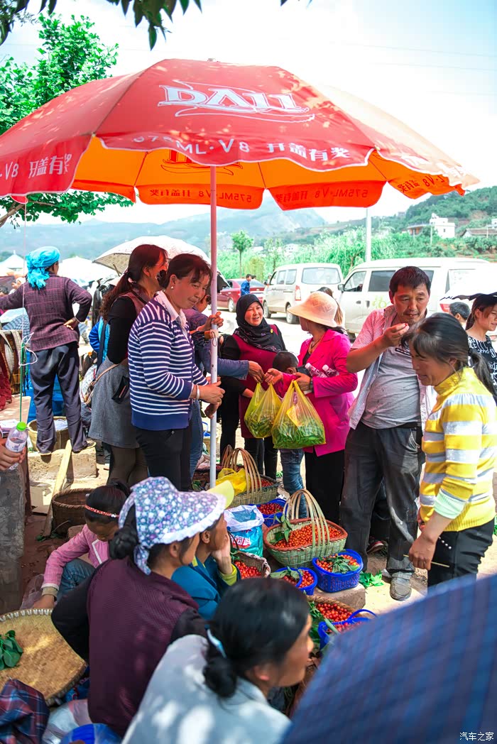 请问有知道今年昭通小寨的樱桃节是几号的吗