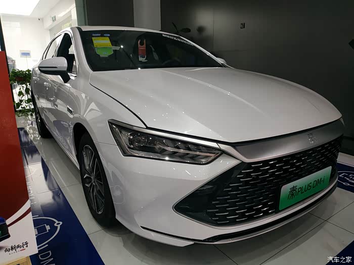 爱上生活爱上你比亚迪秦plusdmi小白