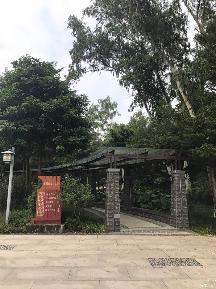 两千年的小火山王借岗森林公园游记