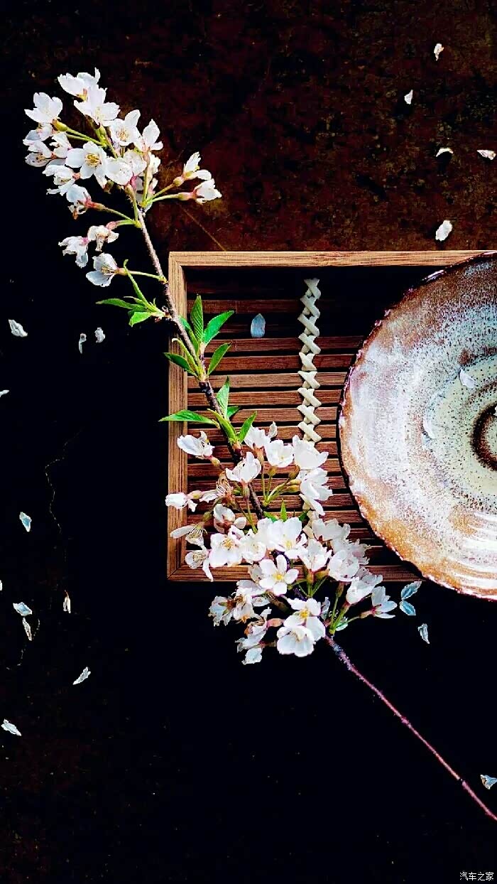 8曲rows万岁万岁万万岁